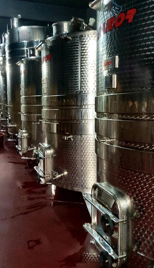 Wine Hotel Cesarica Меджугор'є Екстер'єр фото